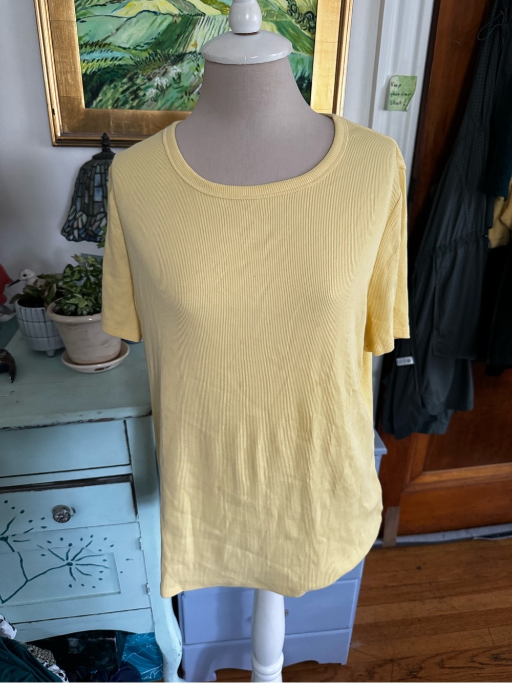 Time and Tru Women's Short Sleeve Crewneck Tee Shirt XL Ribbed Cotton Top NWOT